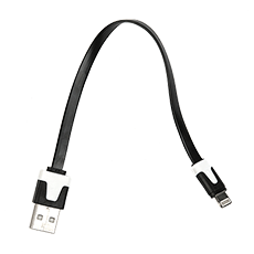 Apple cable Lightning 0.22m Dialog HC-A6401