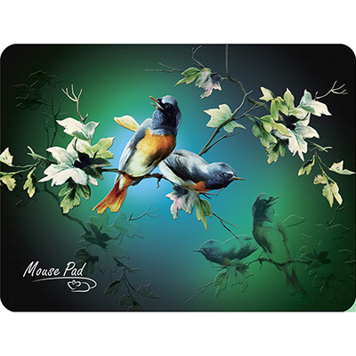 Mouse pad PM-H17 Bird main photo