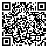 r6p16s QR code